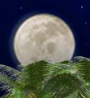 Sukkot